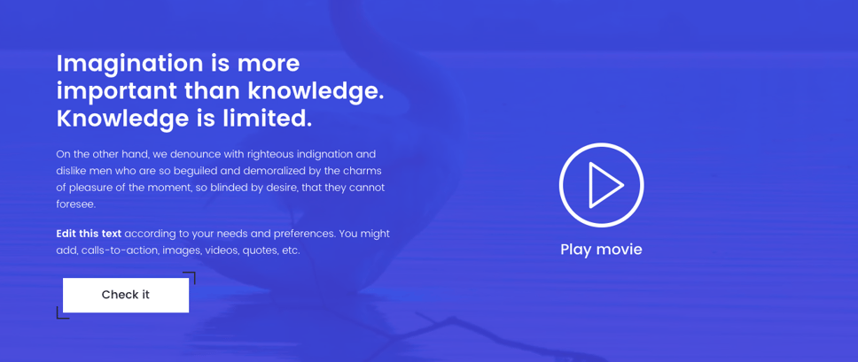 va-text-video-modal.png