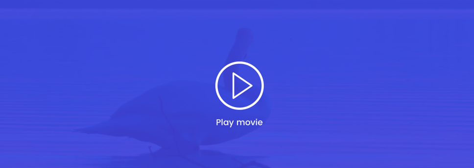 va-videobanner.png