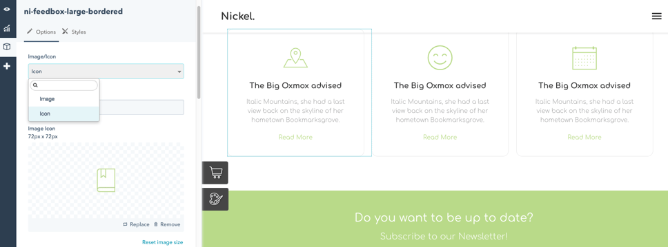 icon option nickel.png